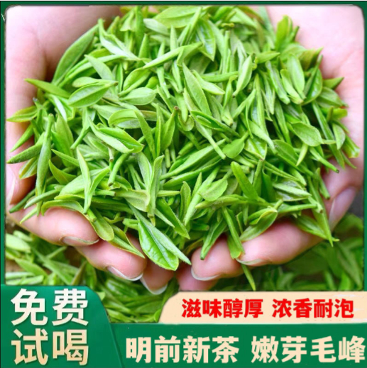 毛峰嫩芽 2025新茶叶特级 安徽明前雀舌高山毛尖黄山绿茶春茶500克